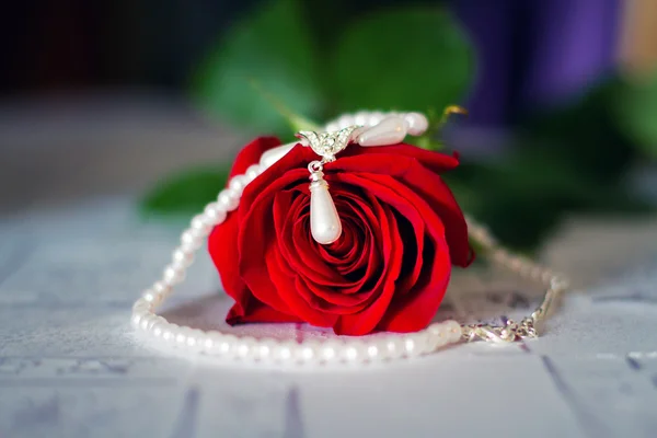 Pendientes de perlas femeninas, joyas collar y rosas rojas Imagen de archivo