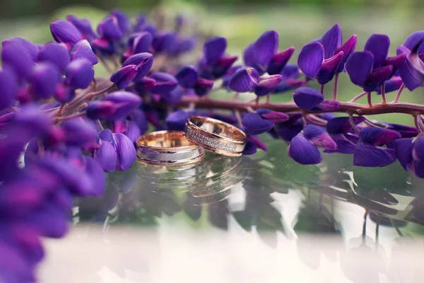 Wedding rings and lavender — Stock Photo, Image