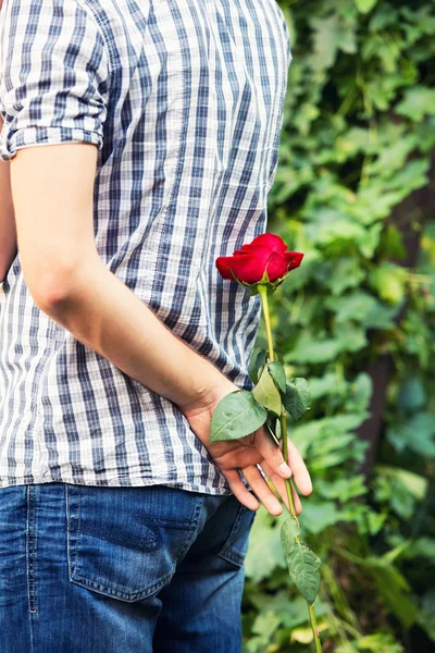 Guy gives a rose to the girl — Stock Photo, Image