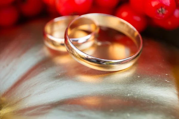 Gold wedding rings in autumn scenery — Stock Photo, Image