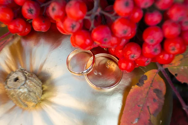 Goldene Trauringe in herbstlicher Kulisse — Stockfoto