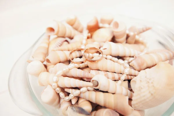 Fedi nuziali e cockleshells di mare — Foto Stock