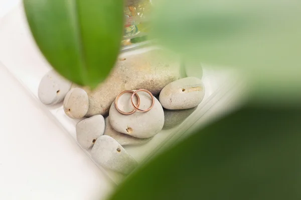 Wedding rings on stones — Stock Photo, Image
