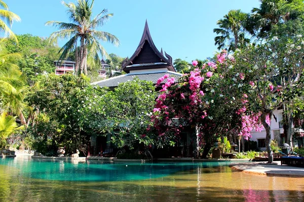 Hermosa Piscina Laguna Forma Libre Más Grande Rodeada Palmeras Árboles — Foto de Stock