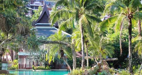 Belle Grande Piscine Lagune Libre Entourée Palmiers Bâtiments Style Thaï — Photo