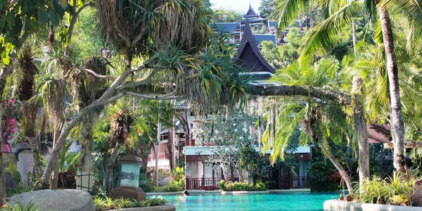 Belle Grande Piscine Lagune Libre Entourée Palmiers Bâtiments Style Thaï — Photo