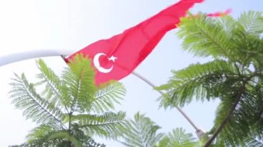 Sokakta Türk bayrağı
