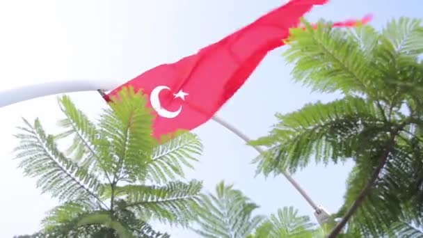 Bandera turca en la calle — Vídeo de stock