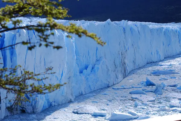 Perito Moreno Buzulu