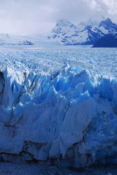 Perito Moreno Buzulu