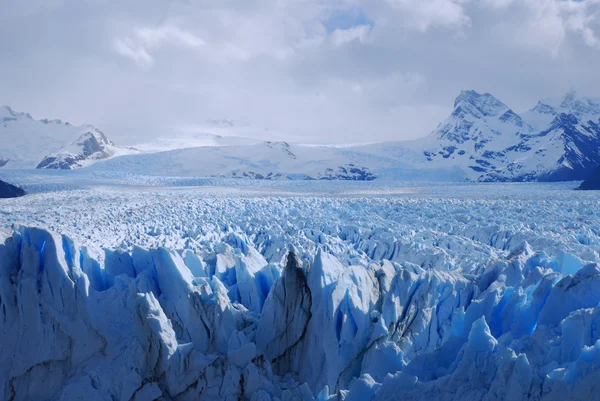 Perito Moreno Buzulu