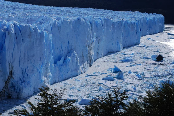 Perito Moreno Buzulu