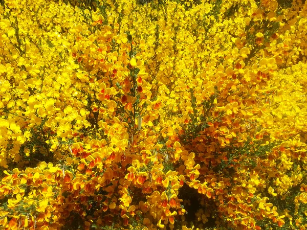 Bariloche ilkbaharda