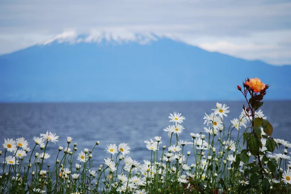 Dağların arkasında,