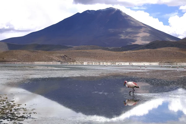 El increíble Salar de Uyuni — Foto de Stock