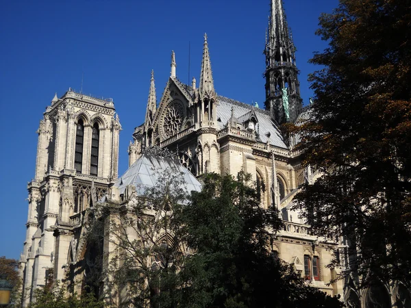 Perspectives of Notre Dame — Stock Photo, Image
