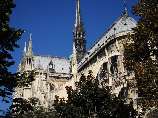 Perspectives of Notre Dame — Stock Photo, Image
