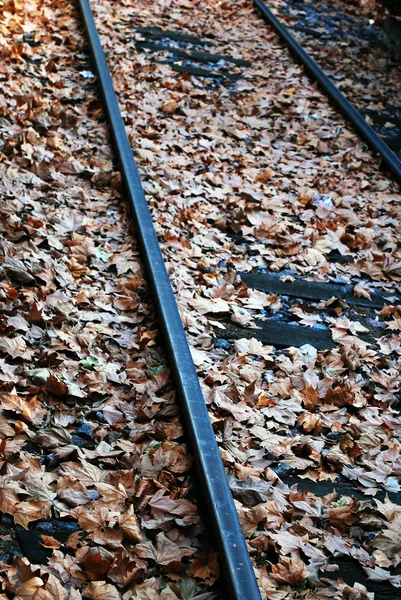 Tarafından geçen tren yok