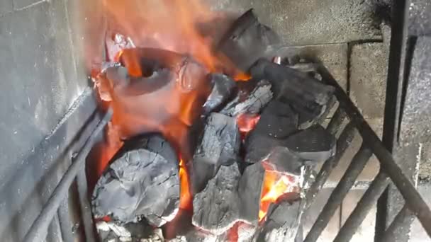 Zakládání ohně — Stock video