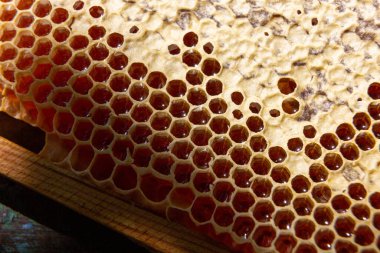 Balla kaplanmış bal peteğini aç