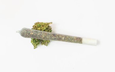 Yukarıdan gelen esrar çiçeği tomurcuğunda marihuana, beyaz arka planda izole edilmiştir