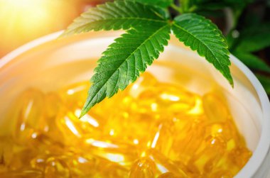 Close up of Cannabis leaf and container with CBD oil Capsules, selective focus on Marijuana