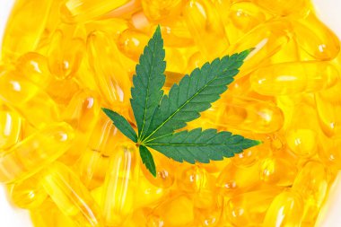 Flat lay of container filled with CBD soft gel capsules and Cannabis leaf