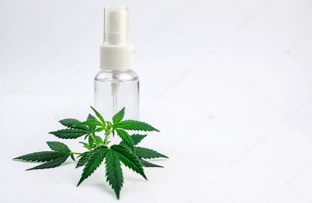 Cannabidiol CBD Cannabis infused spray water Soluble Spray fast acting and increased bio availability