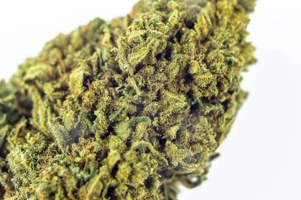 Macro Ultra Close Marijuana Flower Bud Cannabis Trichomes Resins Crystals — Foto Stock