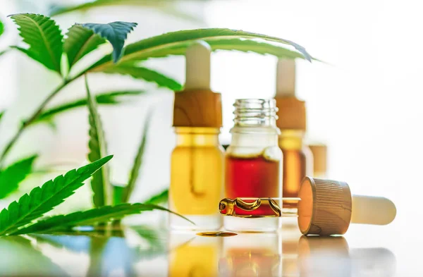 Terug Verlicht Cbd Thc Cannabis Oliën Alternatieve Geneeskunde Hennepproducten Marihuana — Stockfoto