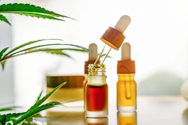 Terug Verlicht Cbd Cannabis Oliën Hand Huidcrème Alternatieve Geneeskunde Hennep — Stockfoto