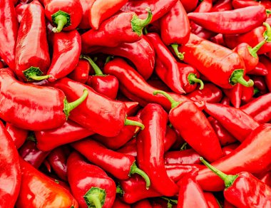 Bir yığın kırmızı poblano biberi.