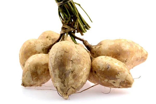 Yam fasulye veya şalgam