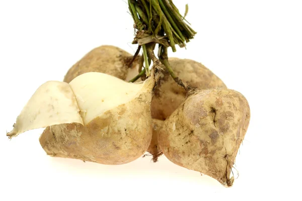 Yam fasulye veya şalgam