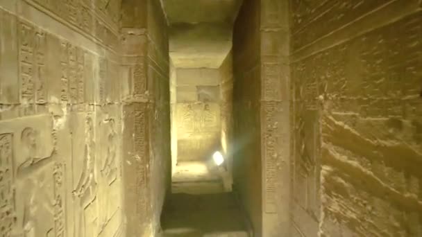 Une Crypte Dans Ancien Temple Égyptien Utilisé Pour Cacher Les — Video