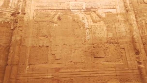 Gambar Genggam Yang Menunjukkan Dinding Kuil Inscriprions Hieroglif Dan Arsitektur — Stok Video