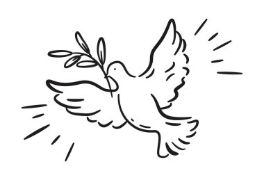 Barış güvercini. Zeytin dalı uzatan uçan güvercin kuşu. Umut, özgürlük, ateşkes, kutsal ruh, Tanrı, temiz, barış, inanç, ilahi ilahi ilahi ilahi ilahi irade, Pazar günü, düğün. Vektör çizimi izole edildi