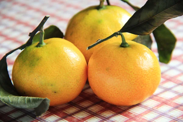 Три мандарина на картатій скатертині — стокове фото