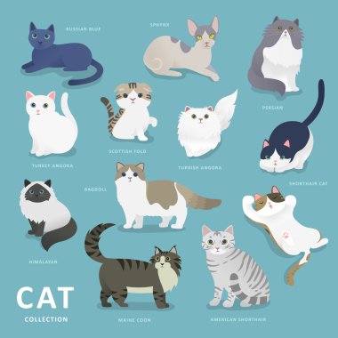 Sevimli kedi doğurmak koleksiyonu