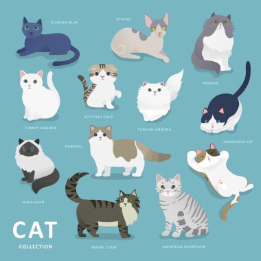 Adorable cat breeds collection clipart