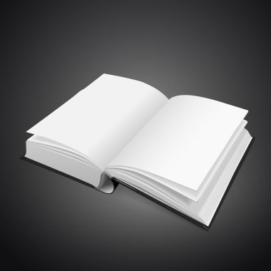 Açık boş kitap
