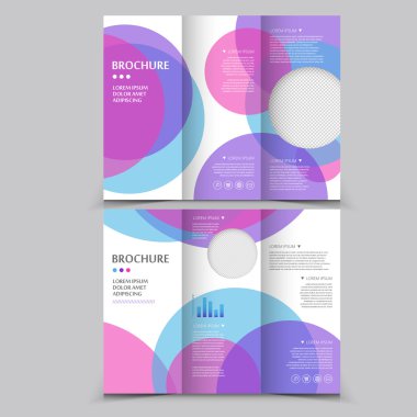 Modern Üç Katlı Broşür