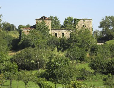 Aşırı büyümüş ıssız müstakil ev.