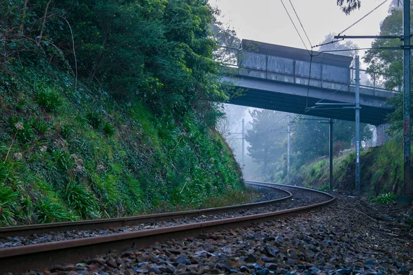 Bir Köprünün Altında Sisli Bir Sabah Manzarasında Kaybolan Yalnız Tren — Stok fotoğraf