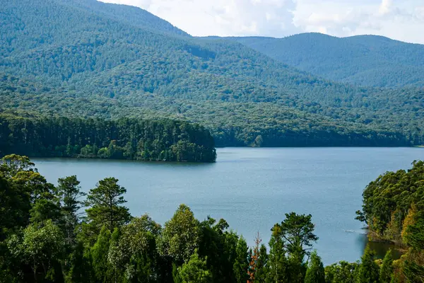 自然のままの湖を囲むぼんやりと緑の森の丘 — ストック写真