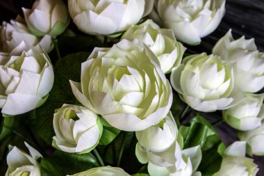 Beyaz frabic lotus closeup