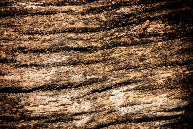 Yıpranmış kahverengi ahşap çatlamak