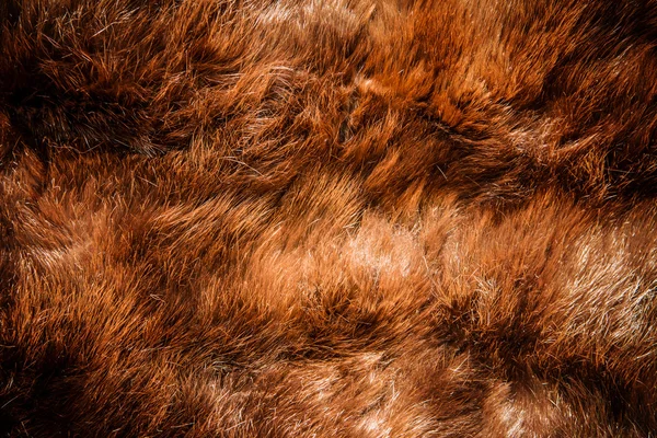 Fur closeup — Stock Photo, Image