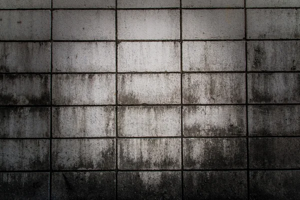 Átvészelte falat cement — Stock Fotó