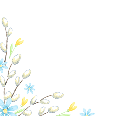 Spring corner of pussy willow and tulips